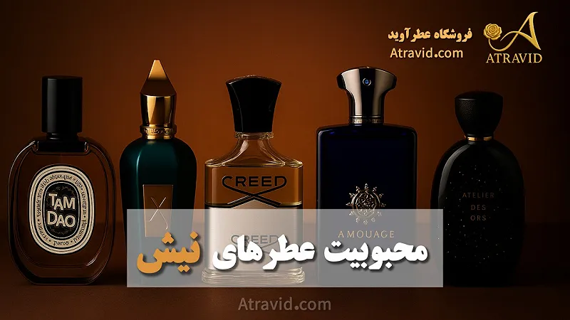 محبوبیت عطرهای نیش