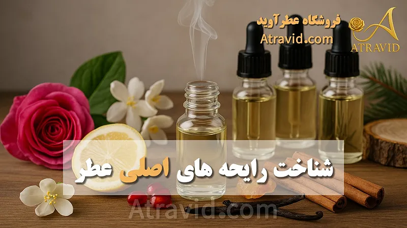 شناخت رایحه های اصلی عطر