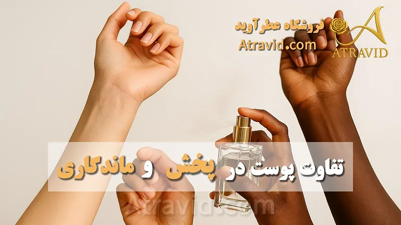 تفاوت پوست‌ در پخش و ماندگاری عطر