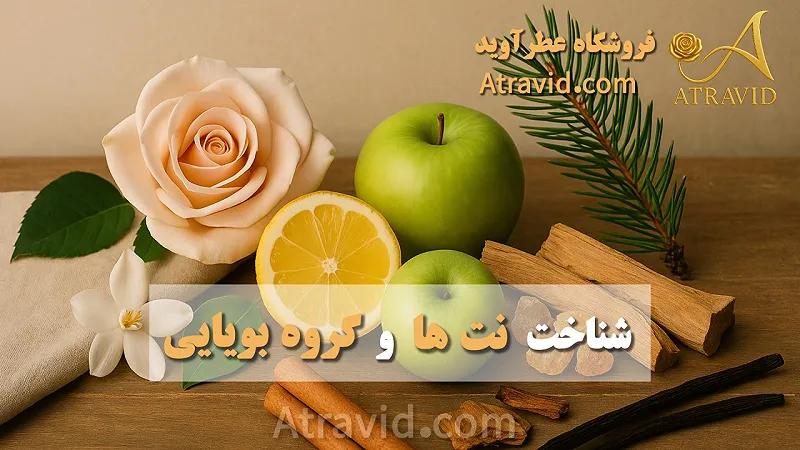 شناخت نت ها و گروه بویایی در عطر