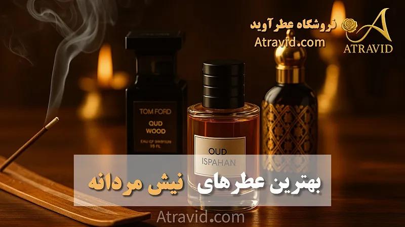 بهترین عطرهای نیش مردانه