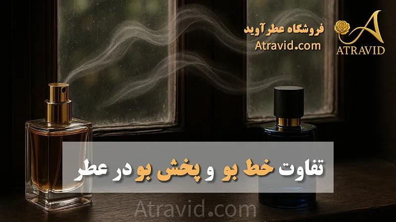 تفاوت خط بو و پخش بو در عطر