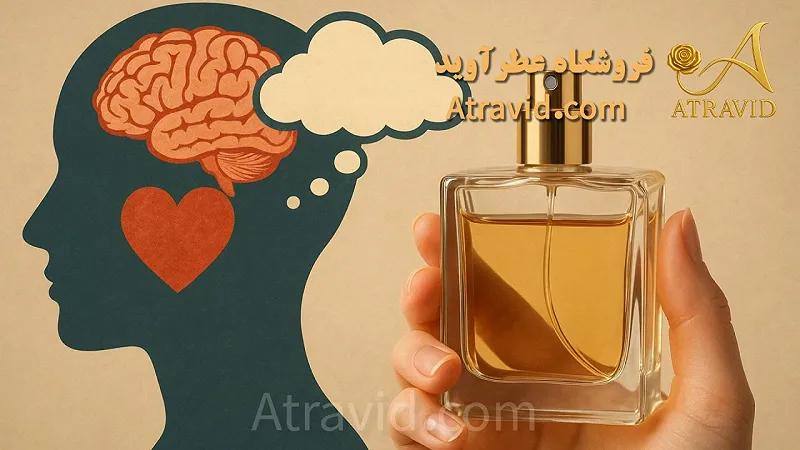 تأثیر عطر و ادکلن بر احساسات؛ راز ماندگاری بو در حافظه