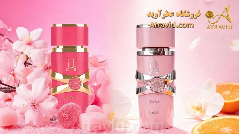 بین یارا صورتی و یارا کندی کدومو بخرم؟