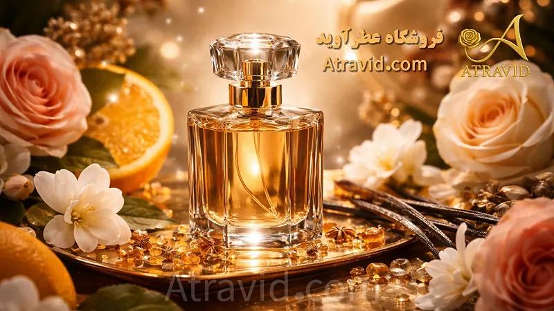 معرفی شرکت FIF