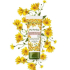کرم مرطوب کننده دست و ناخن ایو روشه مدل pur arnica حجم 75 میلی لیتر
