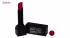 رژلب جامد آرتوسا مدل Long Lasting شماره 114