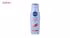 شامپو تثبیت کننده رنگ مو نیوآ مدل Color Protect حجم 250 میلی لیتر