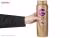 شامپو سان سیلک مدل Hair Fall Solution حجم 600 میلی لیتر