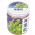 ماسک صورت بایو آکوا مدل Seaweed وزن 200 گرم