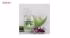 کرم مرطوب کننده دست و صورت پانا مدل Aloe vera حجم 200 میلی لیتر