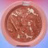 رژگونه براق رنسوم مدل TERRACOTTA شماره 1