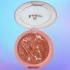 رژگونه براق رنسوم مدل TERRACOTTA شماره 1