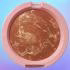 رژگونه براق رنسوم مدل TERRACOTTA شماره 02