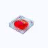 رژگونه موکالرو مدل love your self