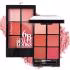 پالت رژ گونه رمانتیک برد مدل 6B V-Face Beauty Looks C