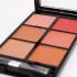 پالت رژ گونه رمانتیک برد مدل 6B V-Face Beauty Looks B