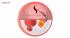 کرم مرطوب کننده ونرم کننده ناشا مدل Peach حجم 125 میلی لیتر