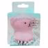 برس پاک کننده صورت کد 6610