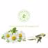 شامپو مو زیکرتو مدل Endurance Sport Line حجم 330 میلی لیتر