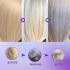 شامپو ضدزردی مو کورمسیک مدل COLOR LOCK PURPLE حجم 300 میلی لیتر