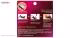 مژه مصنوعی کیس سری I.Envy مدل KPED08