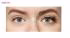 مژه مصنوعی کاتریس مدل Smokey Eyes Volume