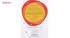 کرم ضد آفتاب رنگی بژ طبیعی ژنوبایوتیک Spf50 به همراه محلول تقویت مژه سریتا مدل Sun3