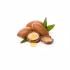 روغن مو و پوست مکس لیدی مدل ARGN حجم 200 میلی لیتر
