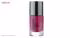 لاک ناخن نوباراکس مدل Top Coat شماره 61