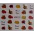 لنز ناخن کد L156