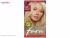 کیت رنگ مو فارا مدل Scandinavian Blonde شماره 530