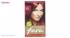 کیت رنگ مو فارا مدل Wild Cherry شماره 509