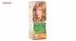 کیت رنگ مو گارنیه شماره Color Naturals Shade 7.3