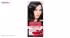 کیت رنگ مو گارنیه شماره Color Sensation Shade 4.10