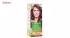 کیت رنگ مو گارنیه شماره Color Naturala Shade 6N