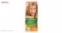 کیت رنگ مو گارنیه شماره Color Naturala Shade 9