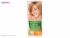 کیت رنگ مو گارنیه شماره Color Naturala Shade 8