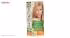 کیت رنگ مو گارنیه شماره Color Naturala Shade 9