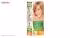 کیت رنگ مو گارنیه شماره Color Naturala Shade 8