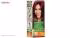 کیت رنگ مو گارنیه شماره Color Naturals Adria Shade 460