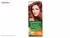 کیت رنگ مو گارنیه شماره Color Naturals Adria Shade 6.23