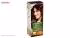 کیت رنگ مو گارنیه شماره Color Naturals Adria Shade 660