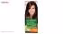 کیت رنگ مو گارنیه شماره Color Naturala Shade 4.3