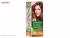 کیت رنگ مو گارنیه شماره Color Naturals Adria Shade 6.23