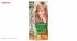 کیت رنگ مو گارنیه شماره Color Naturals Adria Shade 9.1