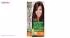 کیت رنگ مو گارنیه شماره Color Naturala Shade 4.3