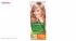 کیت رنگ مو گارنیه شماره Color Naturals Adria Shade 9.1