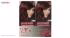 پک کیت رنگ مو گارنیه شماره Color Sensation Shade 5.62 بسته 2 عددی