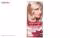 کیت رنگ مو گارنیه شماره Color Sensation Shade 9.13